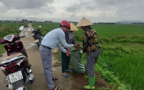 Hội nông dân xã Thiệu Thịnh tổ chức ra quân làm vệ sinh đồng ruộng “ thu gom các loại bao bì, vỏ chai thuốc bảo vệ thực vật”